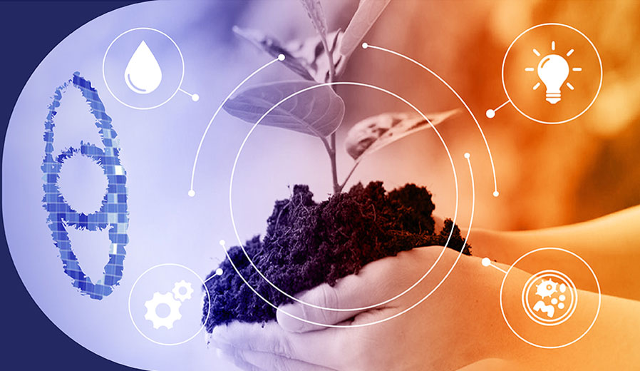 A Growing Significance