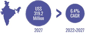 India Fire-Retardent Chemicals Target