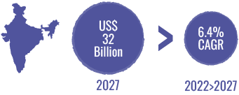 India Specialty Chemicals Market