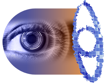 The Power Of Perspective